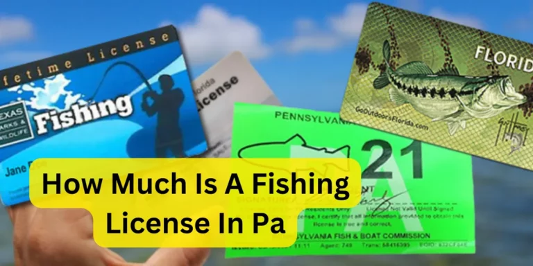 how much is a fishing license in pa
